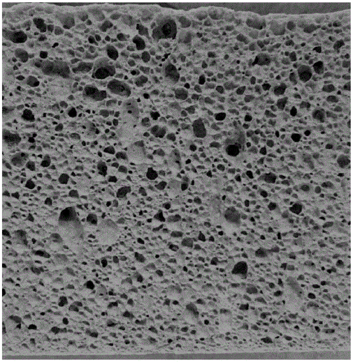 發(fā)泡陶瓷磚與輕體磚的強度對比